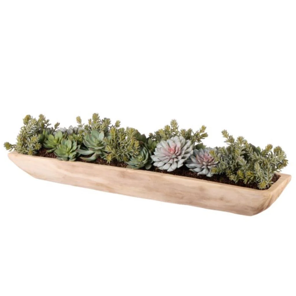 Echeveria Succulent Boat - Image 8