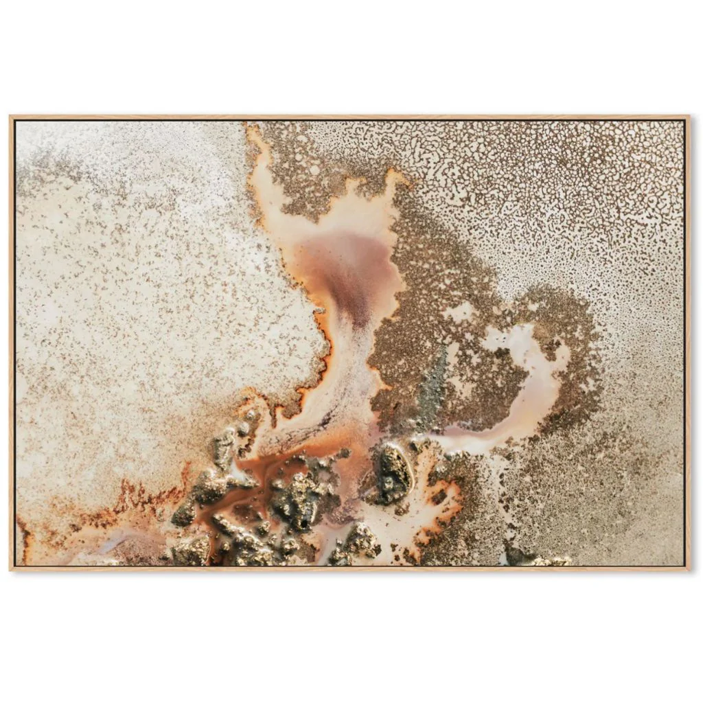 Discovery Canvas