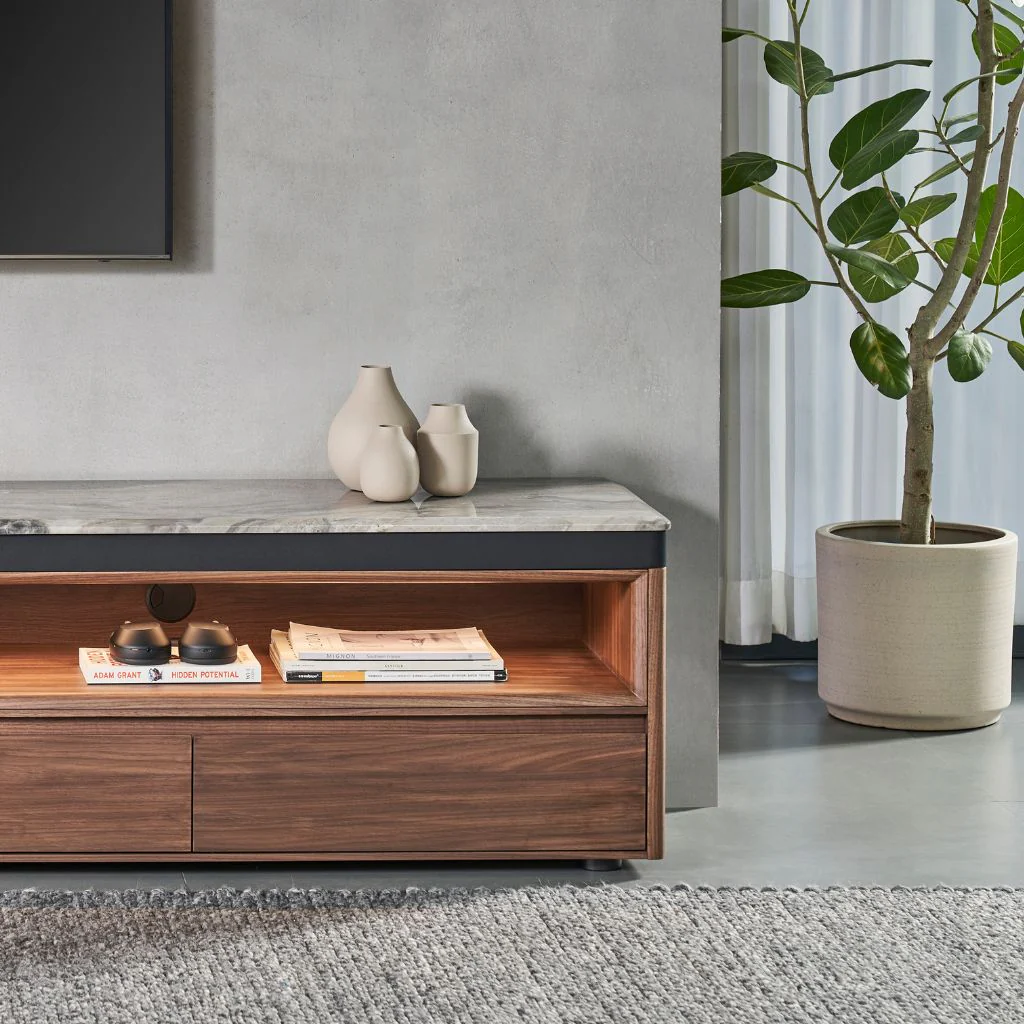 Ezra Tv Unit - Image 5