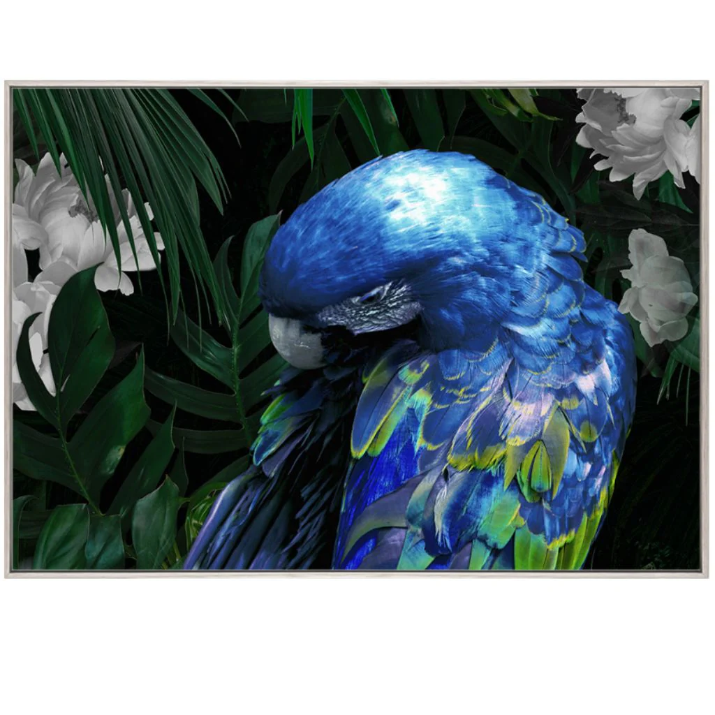 Zazu Artwork - Image 3