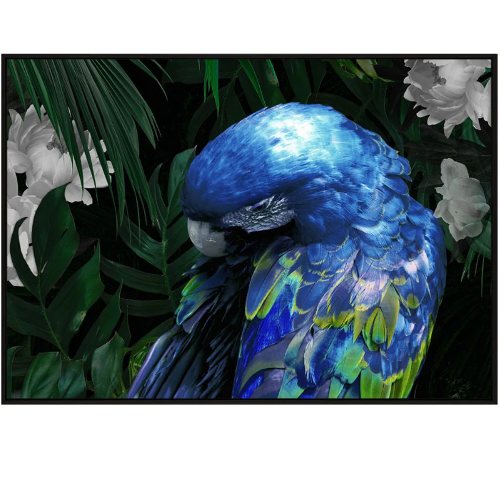 Zazu Artwork - Image 4